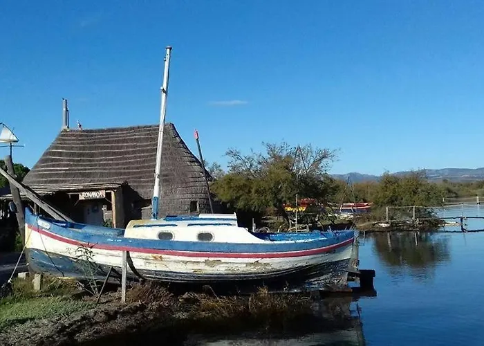 Superbe T2 Face 4est402